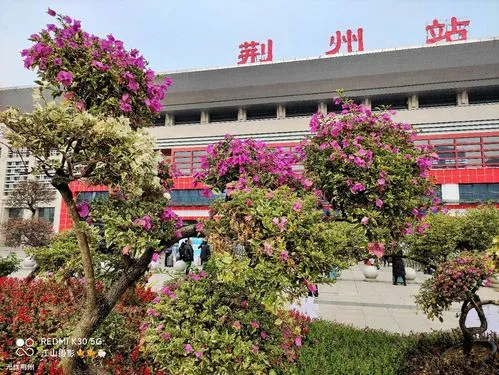 張家港市到荊州物流專線-張家港市到荊州貨運(yùn)-（市/縣-均可送達(dá)）