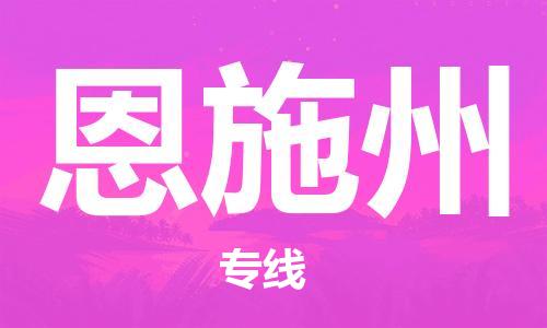 定西到恩施州物流公司-定西到恩施州物流專線-定西直達(dá)恩施州貨運