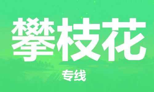 石獅市到攀枝花物流專線-石獅市至攀枝花貨運專線
