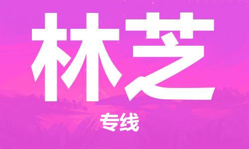 海安到林芝物流公司-海安到林芝專線貨運(yùn)