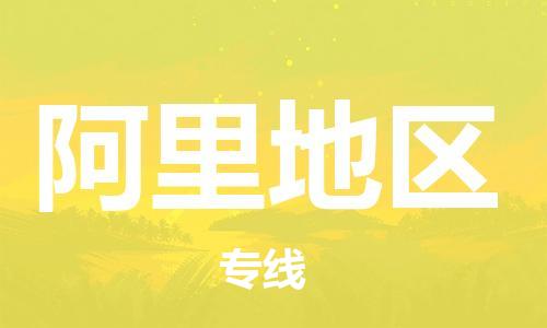 海安到阿里地區(qū)物流公司-海安到阿里地區(qū)專線貨運(yùn)